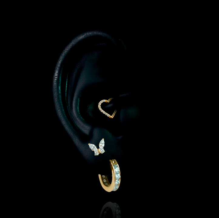PIERCING TITANIO F136 | Lion Luxury