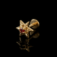 PIERCING TITANIO F136 | Lion Luxury