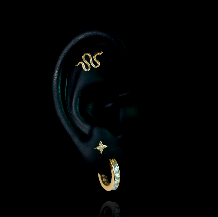 PIERCING TITANIO F136 | Lion Luxury