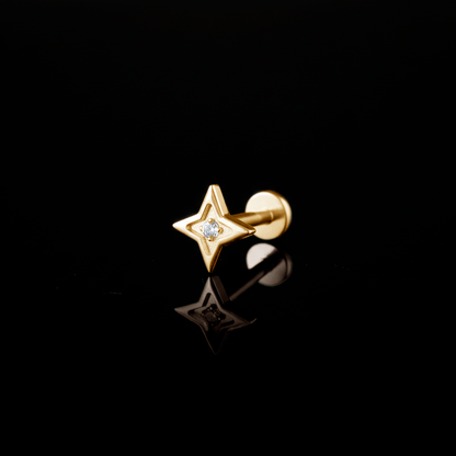 PIERCING TITANIO F136 | Lion Luxury