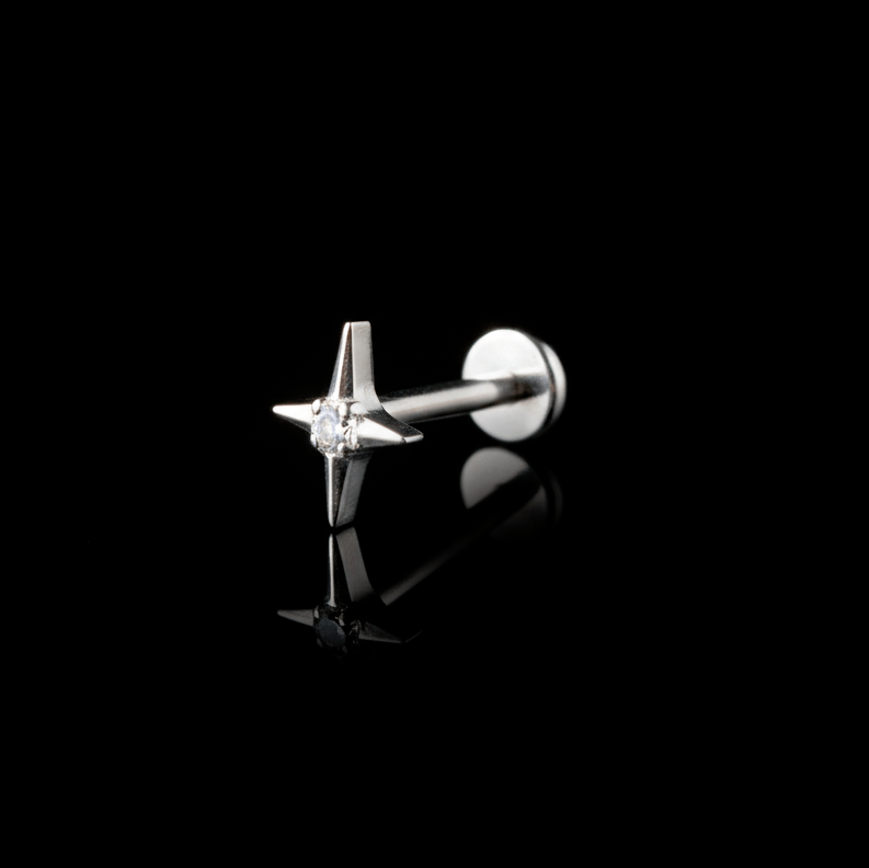 PIERCING TITANIO F136 | Lion Luxury