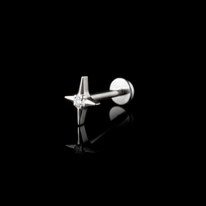 PIERCING TITANIO F136 | Lion Luxury