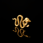 PIERCING TITANIO F136 | Lion Luxury