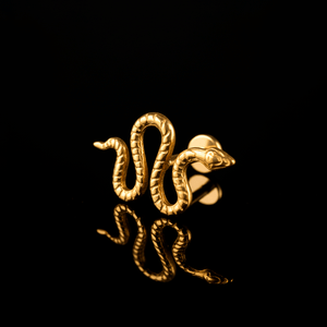 PIERCING TITANIO F136 | Lion Luxury