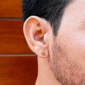 ARETES PARA HOMBRES | Lion Luxury