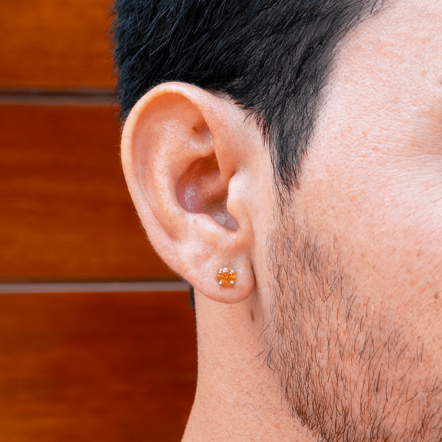 ARETES PARA HOMBRES | Lion Luxury